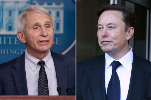 Fauci Hits Back at Elon Musk's Prosecution Call: 'Off the Deep End'