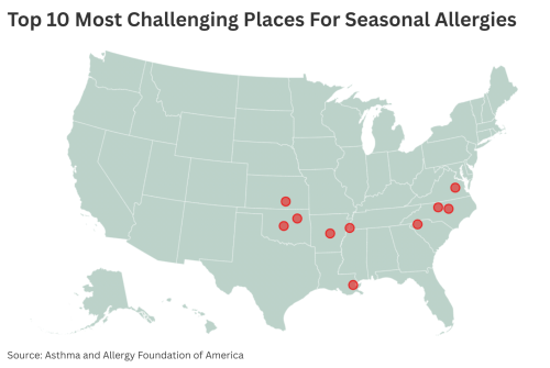 Pollen Count Map Shows Worst Cities as Record Tumbles