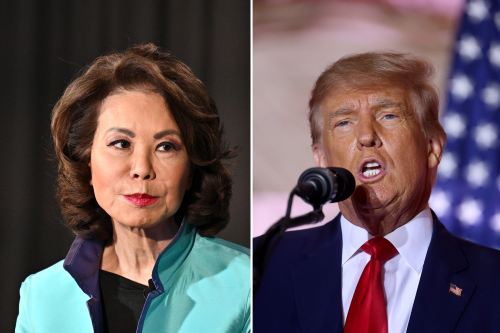 Everything Trump Has Said About Elaine Chao as She Finally Fires Back