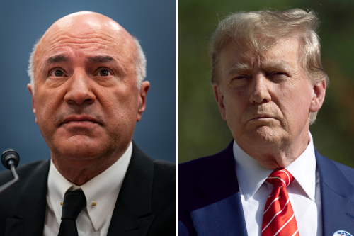 Shark Tank's Kevin O'Leary Reveals Key Problem With Trump Fine