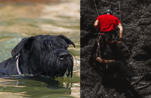Explorers in 22-Mile Cave Accidentally Find Dog Missing for Two Months