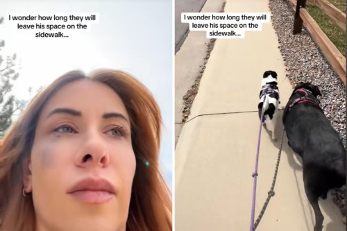 Reason Why Two Dogs Leave Extra Space on Sidewalk Breaks Internet's Heart