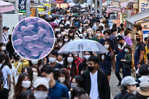 Mystery Rise in Infection With 30% Fatality Rate Sweeps Japan