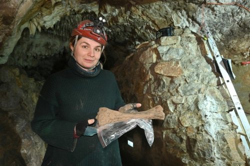Hundreds of Mammoth Bones and Prehistoric Remains Found in 'Paradise Cave'