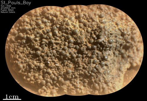 NASA Scientists 'Astonished' by Unusual Martian Spheres