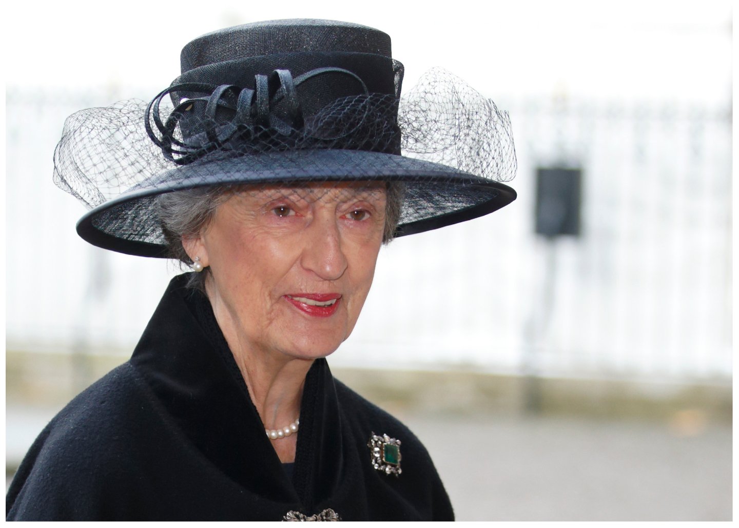 Who Is Lady Susan Hussey? Royal Courtier Who Quit Over Race Storm