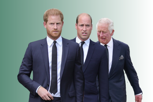 What Prince Harry Said About Funeral Argument With William and Charles