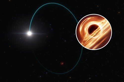 Astronomers Discover Galaxy's Largest Stellar Black Hole 'Lurking Nearby'