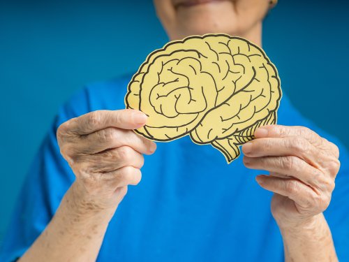 Scientists Identify the Three Main Risk Factors for Brain Aging