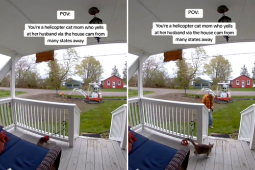 'Helicopter Cat Mom' Hundreds of Miles Away Watches Chaos Unfold on Pet Cam