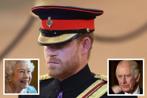 Charles Not Telling Harry About Queen Dying Before Public Was 'Cruel'
