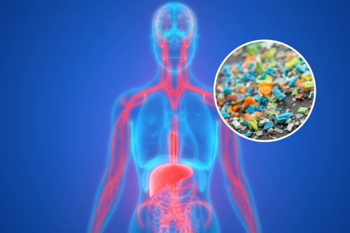 Warning as Microplastics Escape Gut to 'Infiltrate' Brain