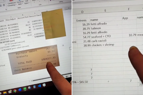 Diner Creates Spreadsheet to Split $328 Bill She Paid After Disagreement