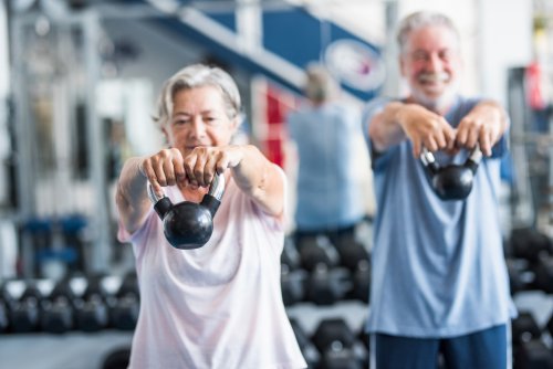 Muscle Discovery Has 'Huge Potential' for Healthier Aging
