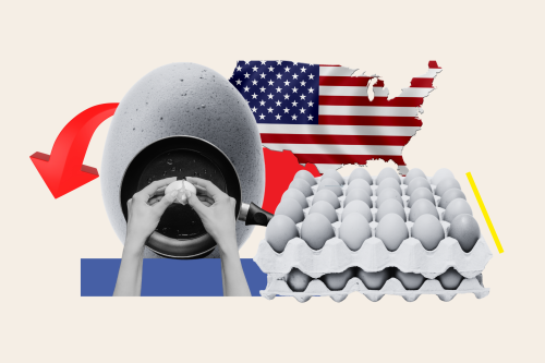 America's Desperate Scramble for Eggs