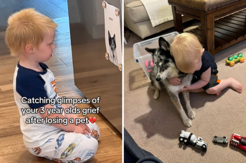 Tears at What Mom Sees Toddler Doing After the Family Dog Passes: 'Grief'