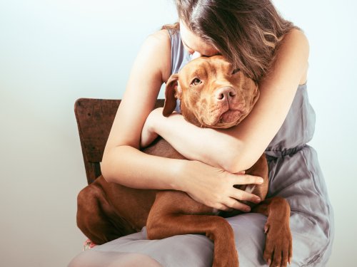 Why Is Your Dog's Mental Health Important and How To Care for It