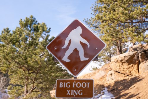 scientist-has-very-simple-explanation-for-bigfoot-flipboard