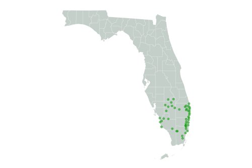 Map Shows Florida Cities Facing Month's Worth of Rain in One Day