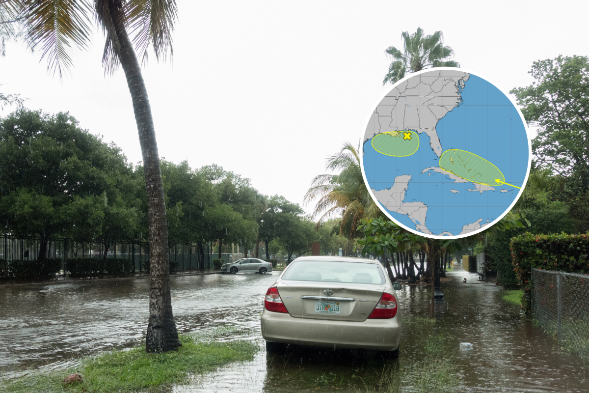 Maps Show How Tropical Storms Could Threaten US Ahead of Labor Day Weekend