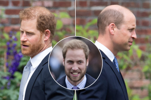 Boost for Prince William on Issue Behind Prince Harry Argument