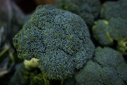 Broccoli Recall as Life-Threatening Warning Issued