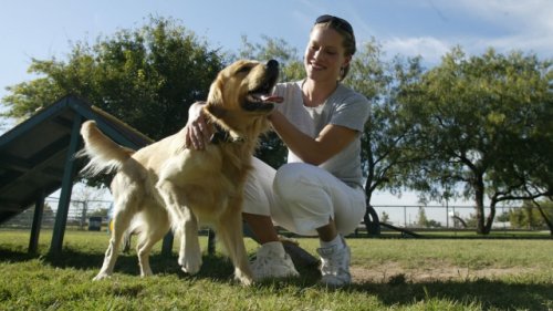10 Common Habits That Can Jeopardize Your Dog's Health
