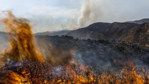 Winds Drive Major Wildfire In Spain; Portugal Goes On Alert