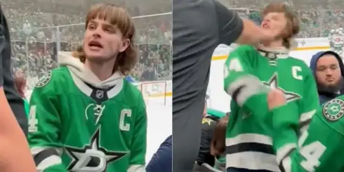 A Dallas Stars Fan Got Punched Directly In Face During Recent NHL Game