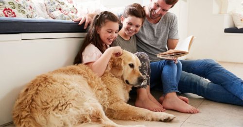Securing a Paw-sitive Rental: Persuasive Techniques for Pet-Loving Tenants