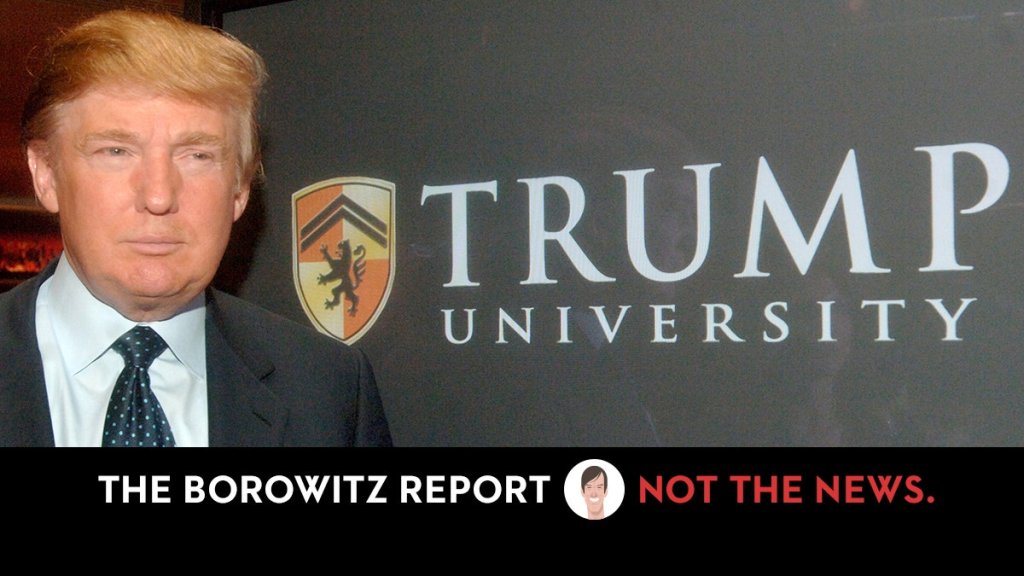 Magazine - The Borowitz Report