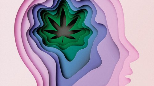 Is Marijuana as Safe as We Think?