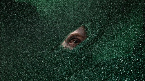 Pictures from Where the Senses Encounter the World