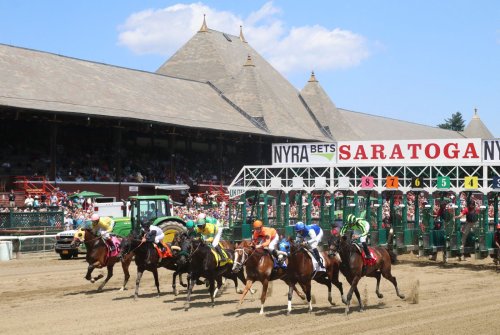 Horse Dies At Saratoga Race Course, Marking 10th Horse Death Of 2022 