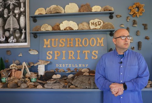 Crafting Drinks: This Finger Lakes distiller adds mushrooms to its vodka