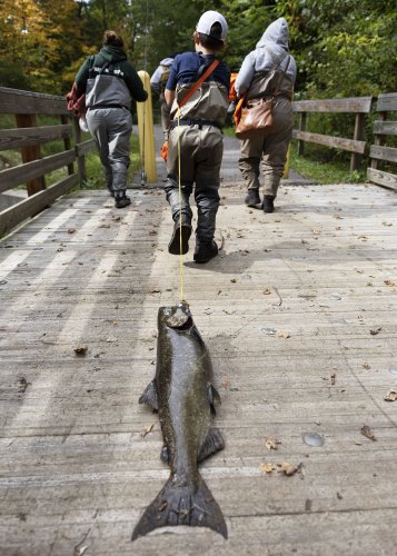 Agony and ecstasy in Pulaski as anglers try their luck on the Salmon River (photos)
