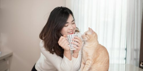 Why you feel bad for your Roomba and talk to your cat