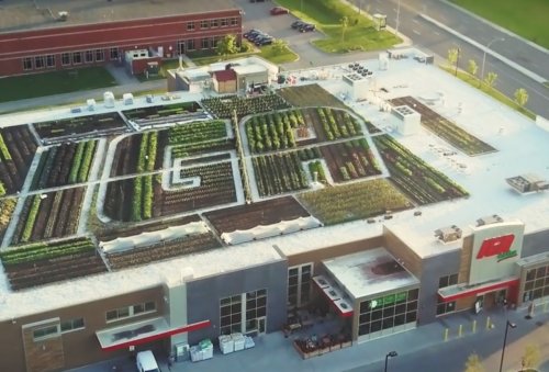 Montreal Is Ready for Supermarket, Version 2.0