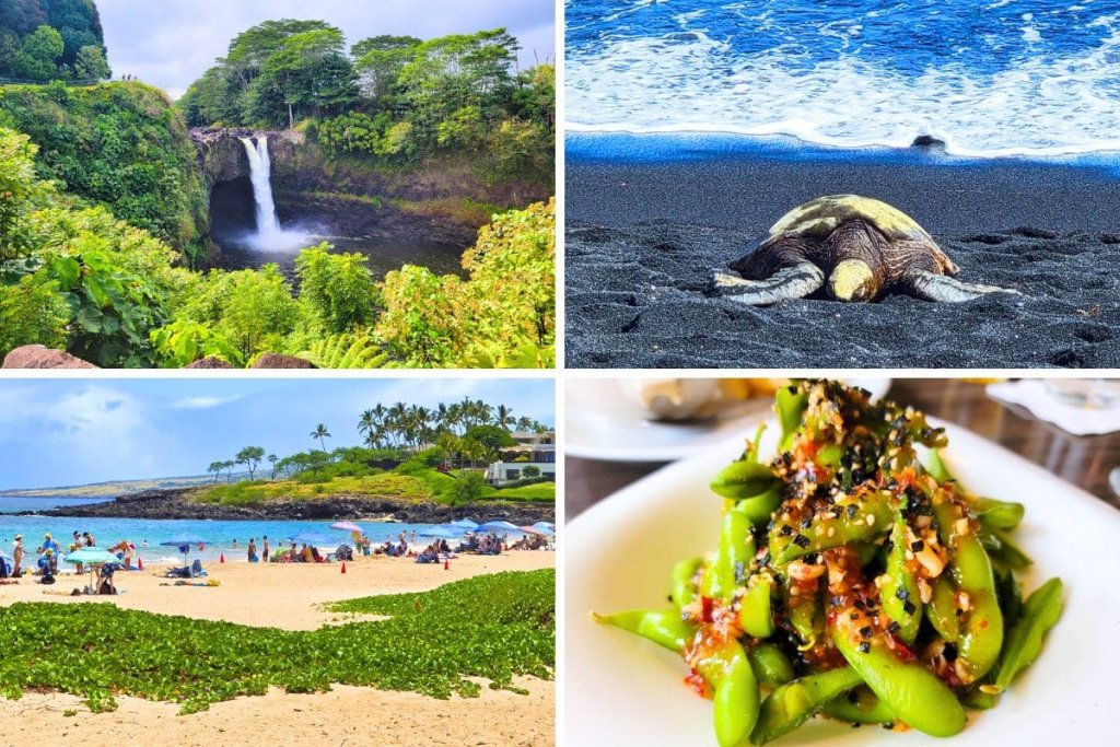 Next Stop, Big Island Hawaii - cover