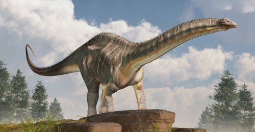 Brontosaurus: reinstating a prehistoric icon