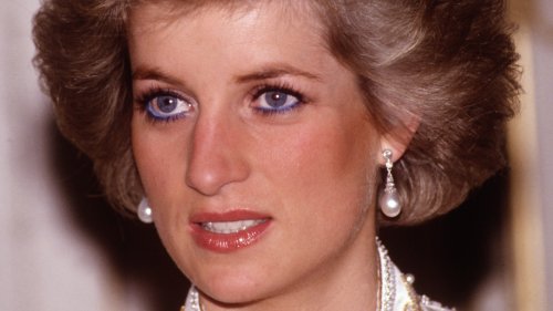 Who Paid For Princess Diana's Statue? - Nicki Swift