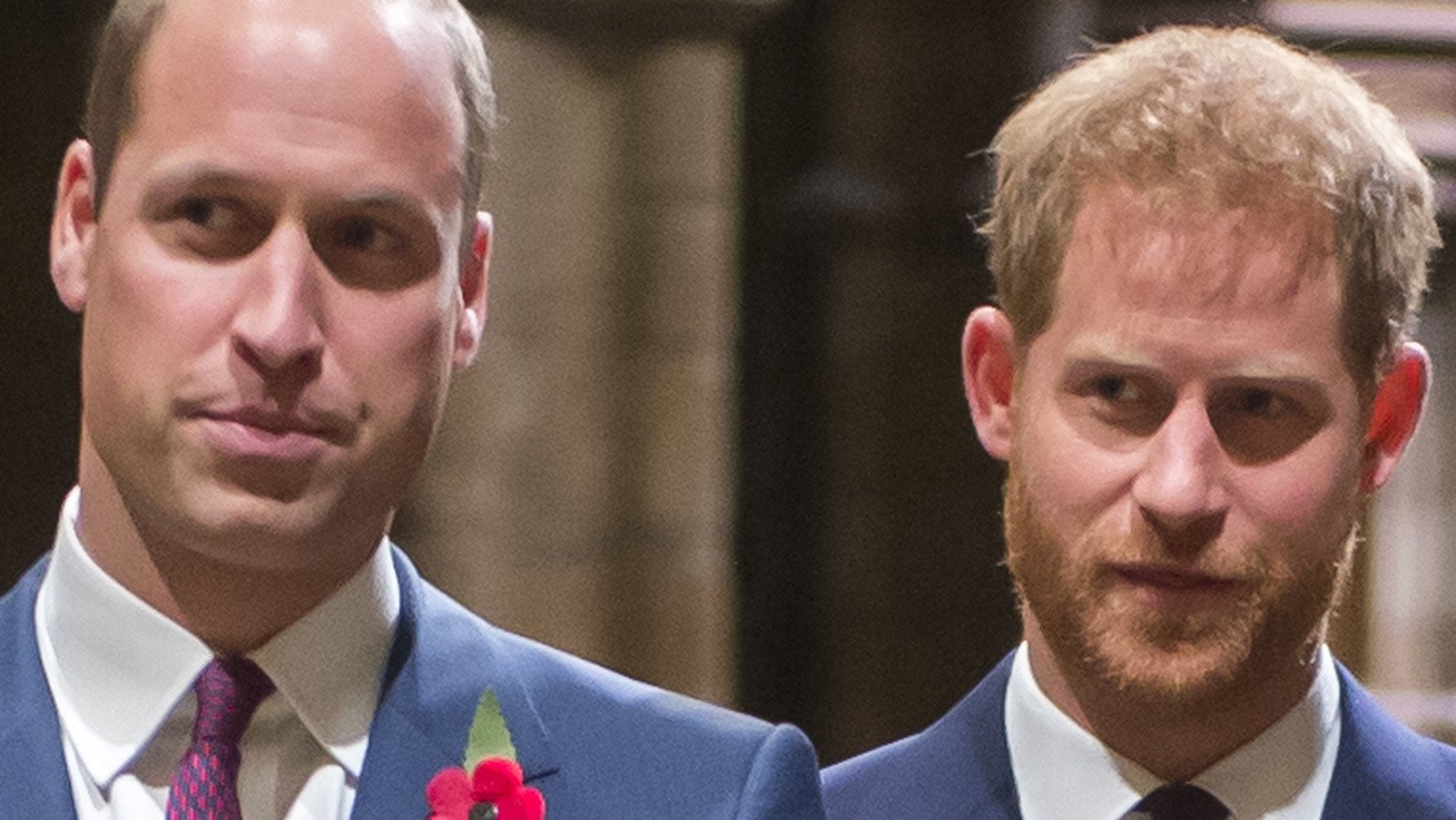 How Old Were Prince William And Prince Harry When Princess Diana Died?