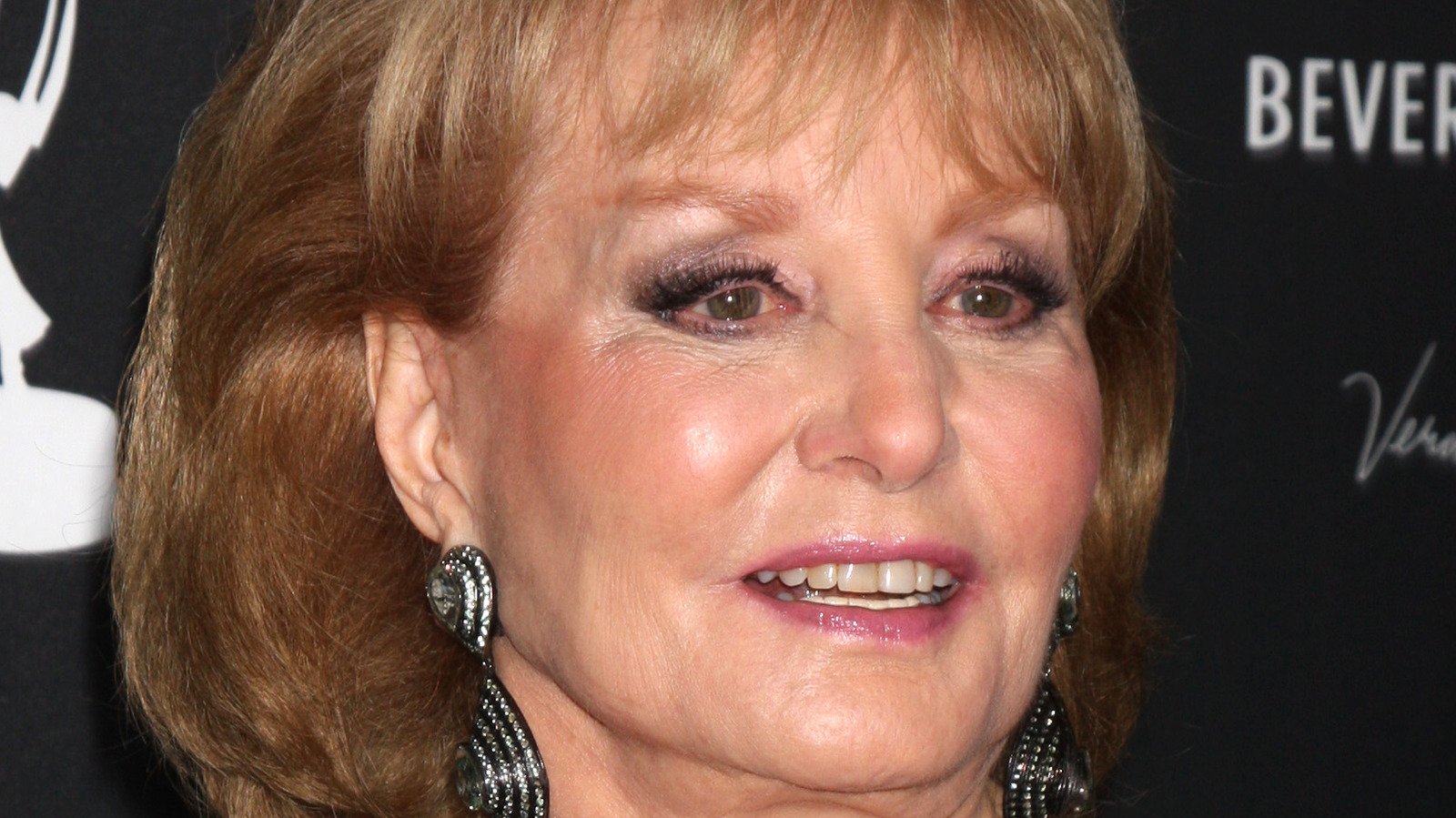 The Major Regret Barbara Walters Once Expressed About Her Career