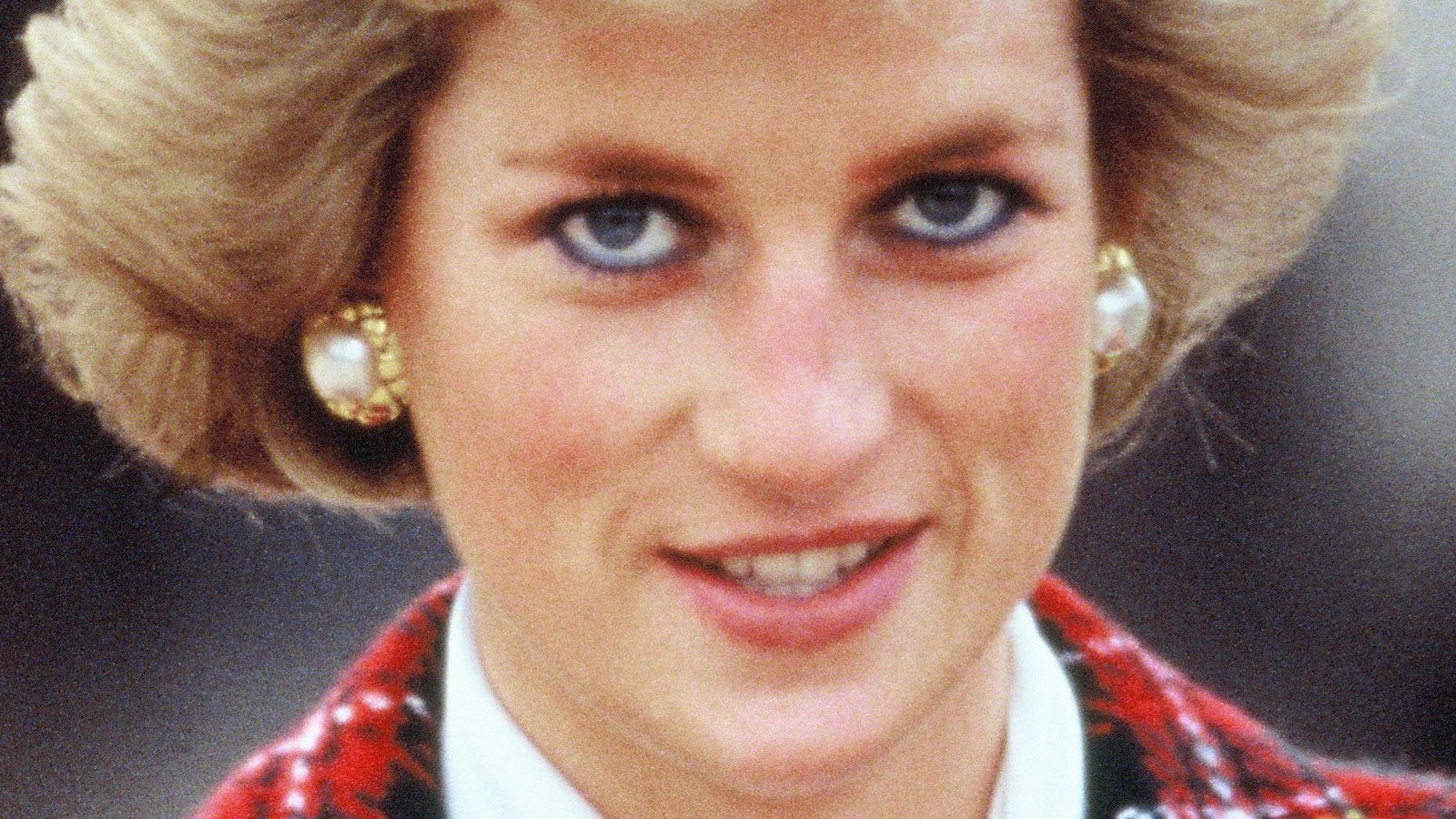 Here's Why Twitter Is Divided On The Princess Diana Statue - Nicki Swift
