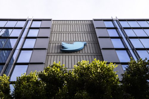 Navigating Elon Musk’s Twitterpocalypse