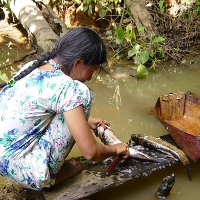 Lifestyle slows brain atrophy among indigenous Amazonian people
