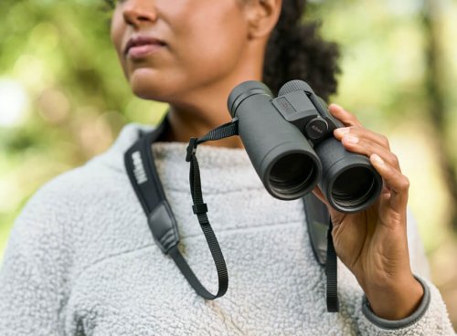 Binoculars for Bird or Wildlife Watching | Nikon