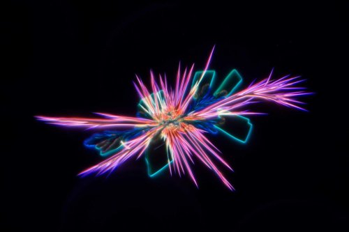 Crystallized purple food dye | 2013 Photomicrography Competition