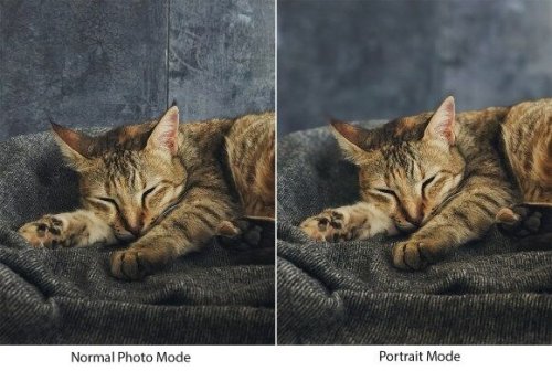 How To Blur A Photo Background On iPhone Or Android