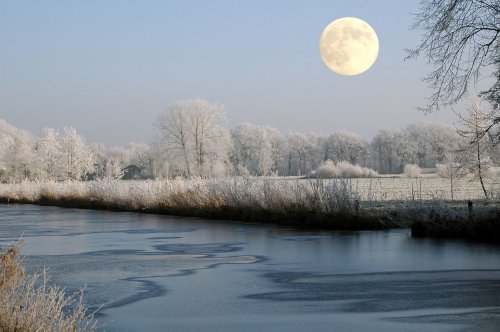 December ‘cold moon,’ final full moon of 2022, to shine in sky this week